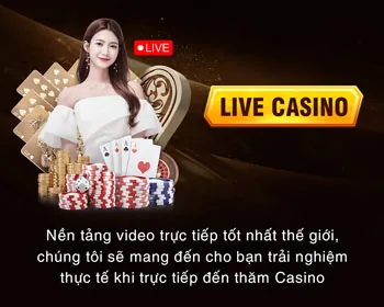 Đội ngũ VN588 chuyên nghiệp